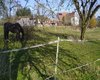 farm in Mittelfranken